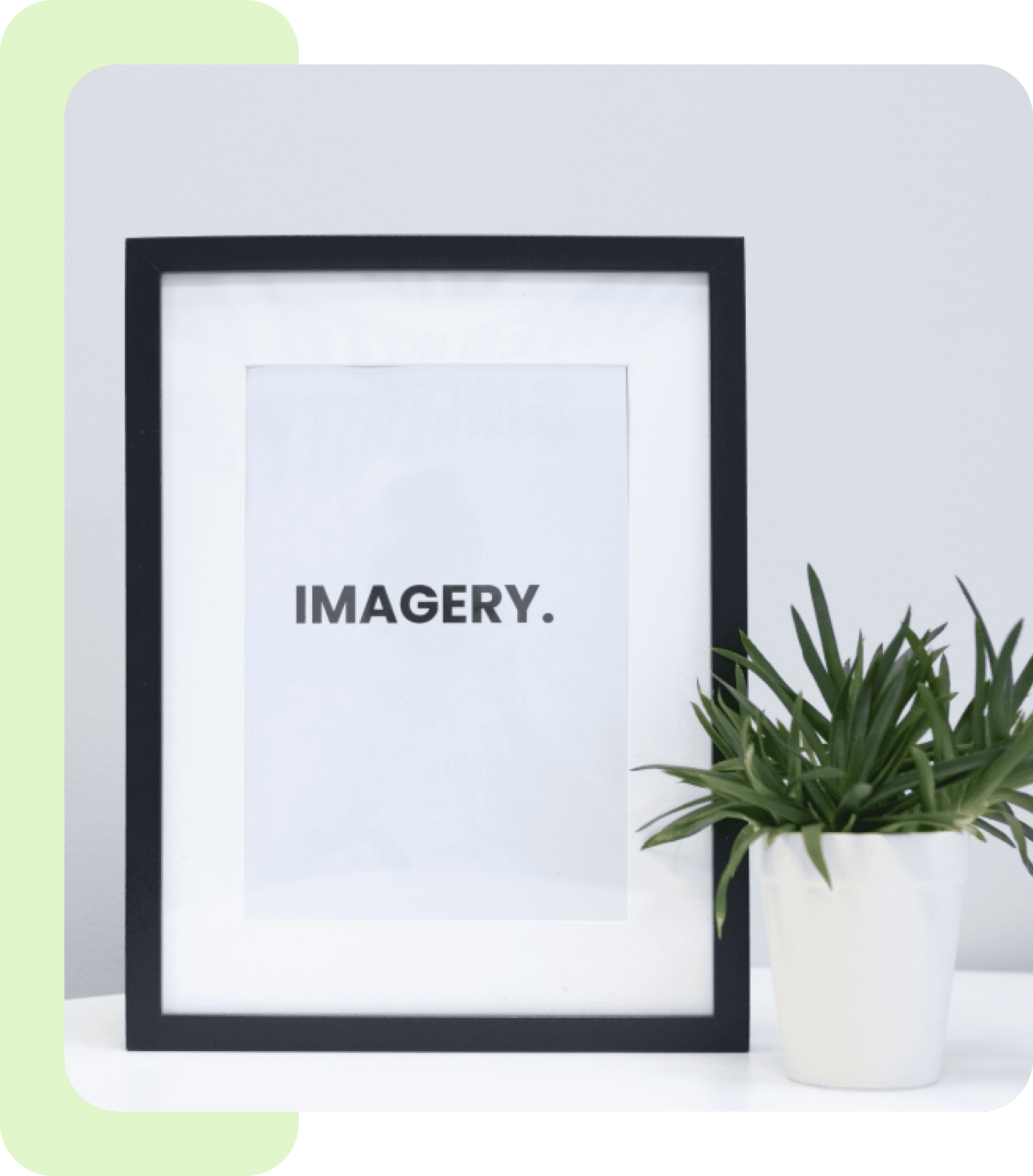 Professional Photography